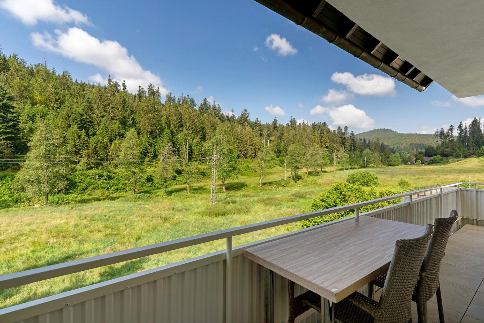 Апартаменти Haus Gisela Форбах Екстер'єр фото